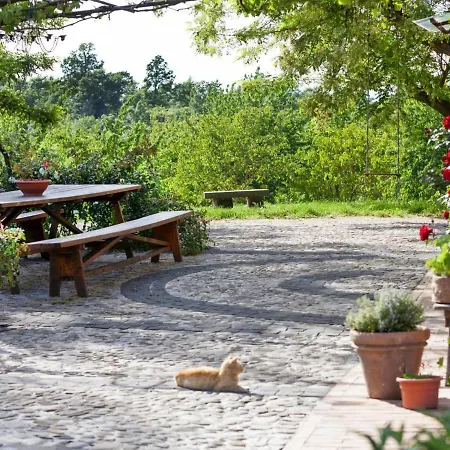 Locazione Turistica Poggio Del Miglio